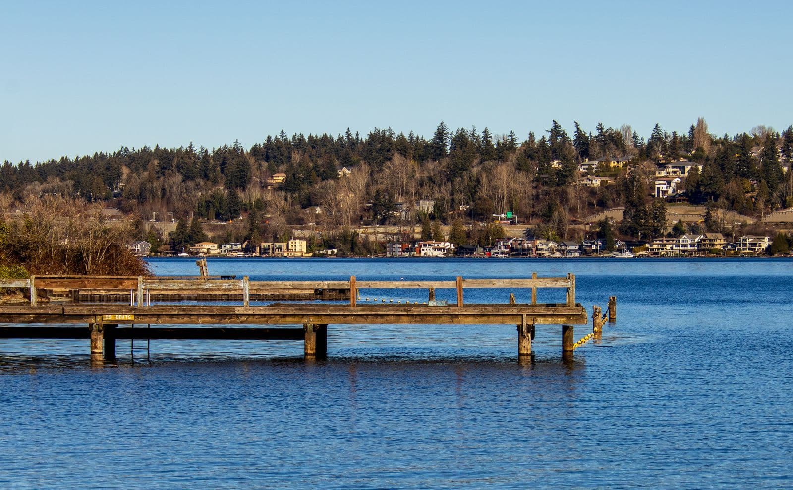 A wooden dock and waterfront homes on a lake, the setting that keeps exterior surfaces damp year round