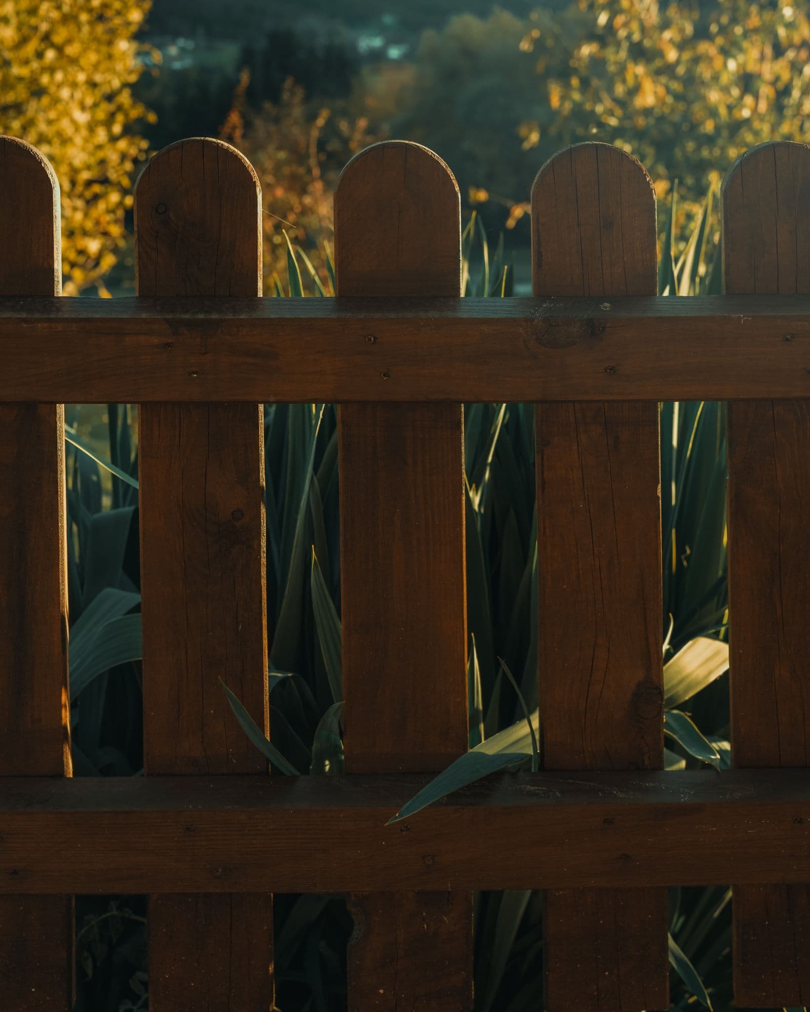 A wooden privacy fence, the surface fence restoration brings back toward its original color